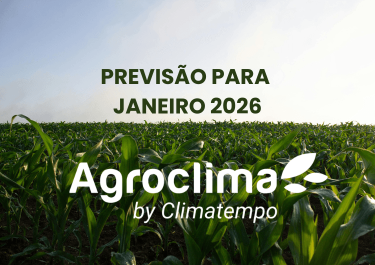 Thumbnail da notícia