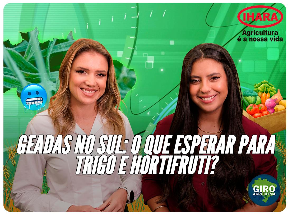 Thumbnail da notícia