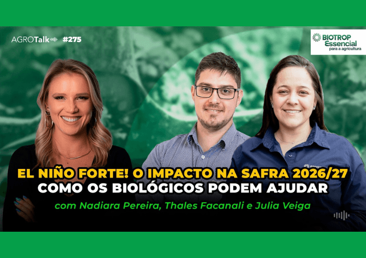 Thumbnail da notícia